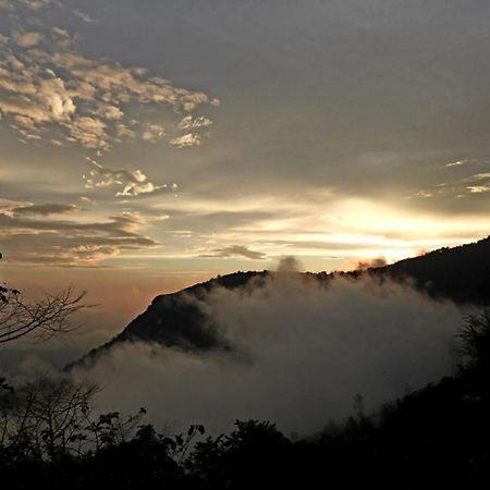 Paithal Resort Kannur Buitenkant foto