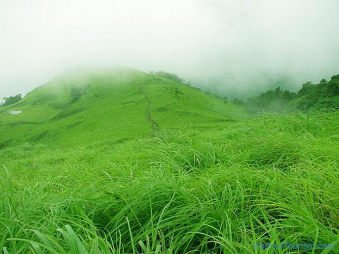 Paithal Resort Kannur Buitenkant foto