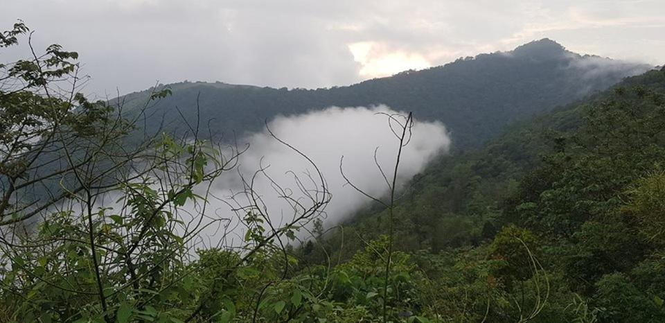 Paithal Resort Kannur Buitenkant foto